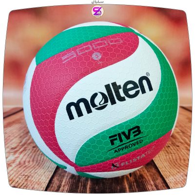 Molten 5000 volleyball